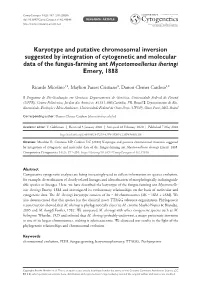 Karyotype and Putative Chromosomal