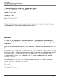 Approaches to Pyelolithotomy