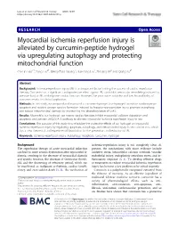 Myocardial Ischemia Reperfusion Injury Is Alleviated by Curcumin