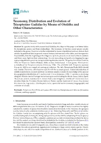 Taxonomy, Distribution and Evolution of Trisopterine Gadidae by Means of Otoliths and Other Characteristics