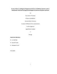 Survey of Quercus Kelloggii at Pepperwood Preserve: Identifying Specimen Oaks to Reimplement Traditional Ecological Knowledge and Promote Ecosystem Resilience