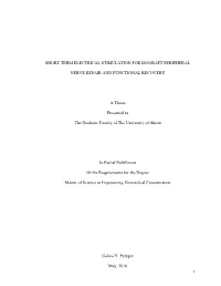 I SHORT TERM ELECTRICAL STIMULATION for ISOGRAFT PERIPHERAL NERVE REPAIR and FUNCTIONAL RECOVERY a Thesis Presented to the Gradu