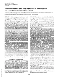 Kinetics of Spindle Pole Body Separation in Budding Yeast JASON A