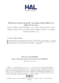 Shelled Pteropods in Peril: Assessing Vulnerability in a High CO 2 Ocean