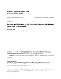 Function and Regulation of the Tip60-P400 Complex in Embryonic Stem Cells: a Dissertation