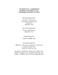 MATRIMONIAL AGREEMENTS Including an Introduction to the Child Support Standards Act (CSSA)