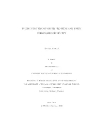 Text Skip-Gram Model [BGJM17] Was Trained to Learn the Individual Word Vectors for Which the Dimensionality of the Vector Was Set to 1