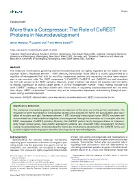 Than a Corepressor: the Role of Corest Proteins in Neurodevelopment