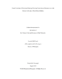 Neural Correlates of Directional Hearing Following Noise-Induced Hearing Loss in The