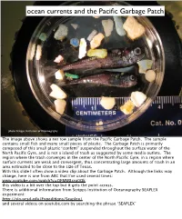 Ocean Currents and the Pacific Garbage Patch