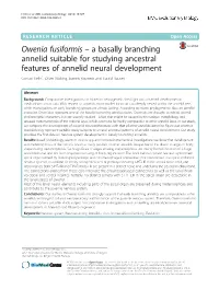Owenia Fusiformis – a Basally Branching Annelid Suitable For