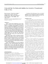 Celecoxib but Not Rofecoxib Inhibits the Growth of Transformed Cells in Vitro