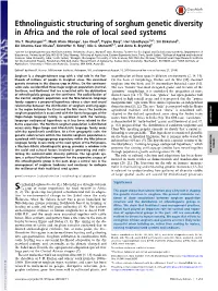 Ethnolinguistic Structuring of Sorghum Genetic Diversity in Africa and the Role of Local Seed Systems