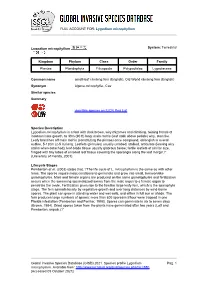 Lygodium Microphyllum Global Invasive Species Database (GISD)