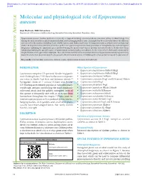 Molecular and Physiological Role of Epipremnum Aureum