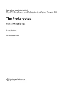 The Prokaryotes