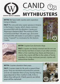 Myth Busters
