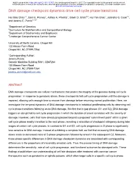 DNA Damage Checkpoint Dynamics Drive Cell Cycle Phase Transitions