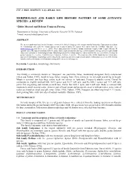 Morphology and Early Life History Pattern of Some Lutjanus Species: a Review