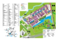 Route Description