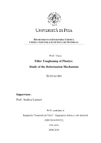 Final Thesis of Xuetao Shi