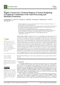 Highly Conserved C-Terminal Region of Indian Hedgehog N-Fragment Contributes to Its Auto-Processing and Multimer Formation