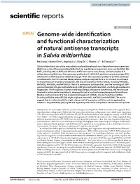 Genome-Wide Identification and Functional Characterization Of