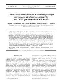 Genetic Characterization of the Lobster Pathogen Aerococcus Viridans Var. Homari by 16S Rrna Gene Sequence and RAPD