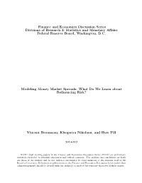 Modeling Money Market Spreads: What Do We Learn About Reﬁnancing Risk?