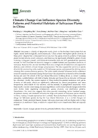 Climatic Change Can Influence Species Diversity Patterns and Potential Habitats of Salicaceae Plants in China