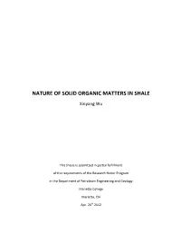 Nature of Solid Organic Matters in Shale