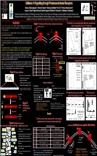 AACR2006-1686P