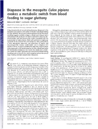 Diapause in the Mosquito Culex Pipiens Evokes a Metabolic Switch from Blood Feeding to Sugar Gluttony