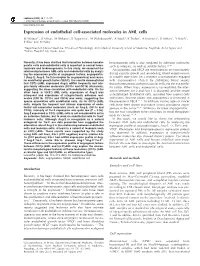 Expression of Endothelial Cell-Associated Molecules in AML