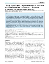 Defensive Behavior Is Associated with Morphology and Performance in Scorpions