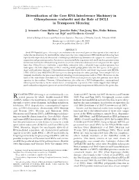 Diversification of the Core RNA Interference Machinery In