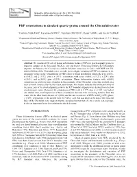 PDF Orientations in Shocked Quartz Grains Around the Chicxulub Crater