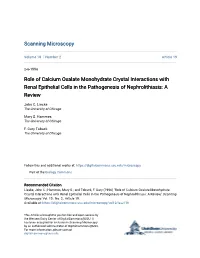 Role of Calcium Oxalate Monohydrate Crystal Interactions with Renal Epithelial Cells in the Pathogenesis of Nephrolithiasis: a Review