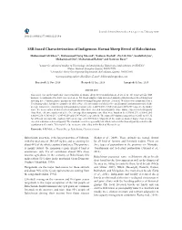 SSR Based Characterization of Indigenous Harnai Sheep Breed of Balochistan