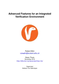 Advanced Features for an Integrated Verification Environment