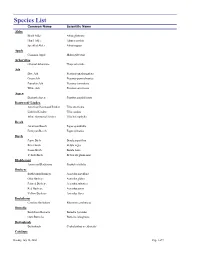 Champion Species List