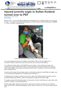 Injured Juvenile Eagle in Sultan Kudarat Turned Over to May 10, 2020 PAGE 1/ DATE TITLE : PEF 1/2