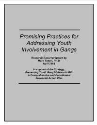 Promising Practices for Addressing Youth Involvement in Gangs