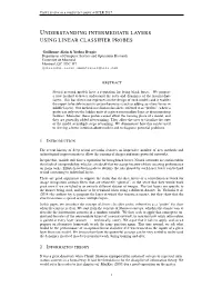 Using Linear Classifier Probes