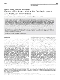 Mapping of Bionic Array Electric Field Focusing in Plasmid DNA