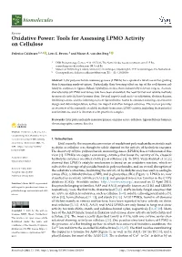 Oxidative Power: Tools for Assessing LPMO Activity on Cellulose