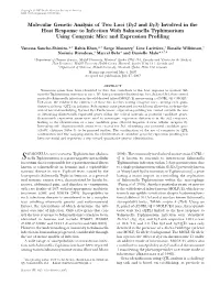 Molecular Genetic Analysis of Two Loci (Ity2 and Ity3) Involved in The