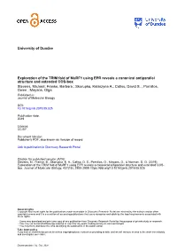 Exploration of the TRIM Fold of Murf1