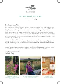 Fog Line Club || Spring 2021