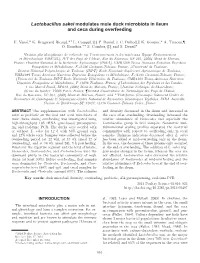 Lactobacillus Sakei Modulates Mule Duck Microbiota in Ileum and Ceca During Overfeeding